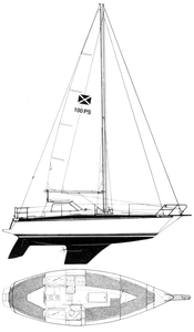Maxi 100 Drawing