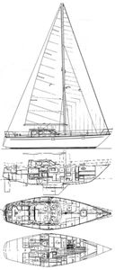 Nautilus 40 Drawing