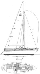 Maxi 1000 Drawing