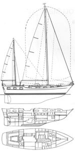Trintella IV Drawing