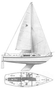 Pandora International Drawing