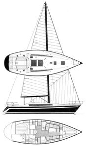 Furia 37 Drawing