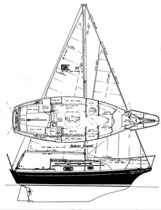 Bayfield 25 Drawing