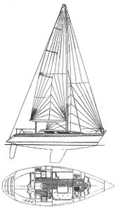 Pandora 34 Drawing
