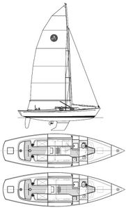 Alerion Express 33 Drawing