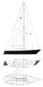 Santana 25-1 Drawing