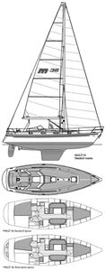 Malo 36 Drawing