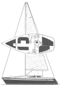 Show 36 Drawing