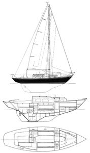 Arietta 31 Drawing