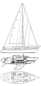 Elizabethan 30 Drawing