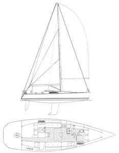 Nelson Marek 43 Drawing