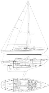 Invicta II (Tripp) Drawing