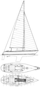 Tartan 10 Drawing