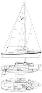 Vivacity 24 Drawing
